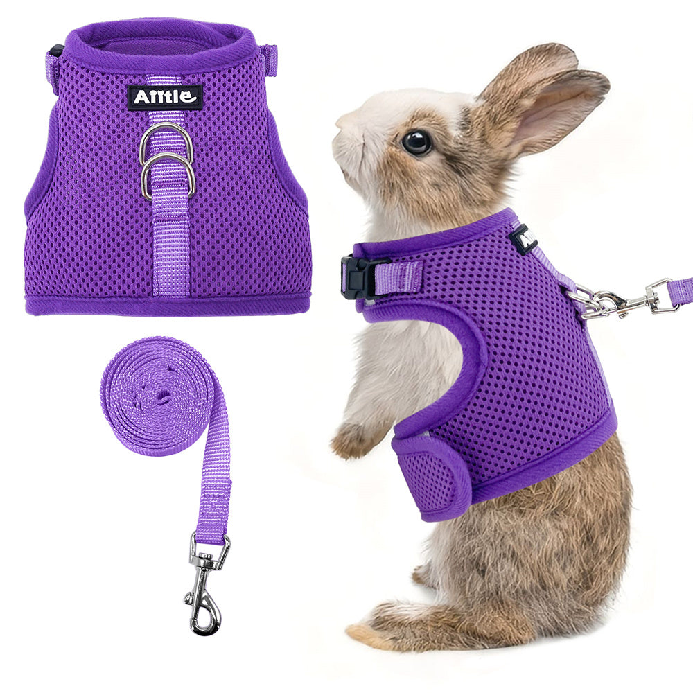 Aiitle Mesh Breathable Rabbit Harness and Leash Set Lightweight Adjustable