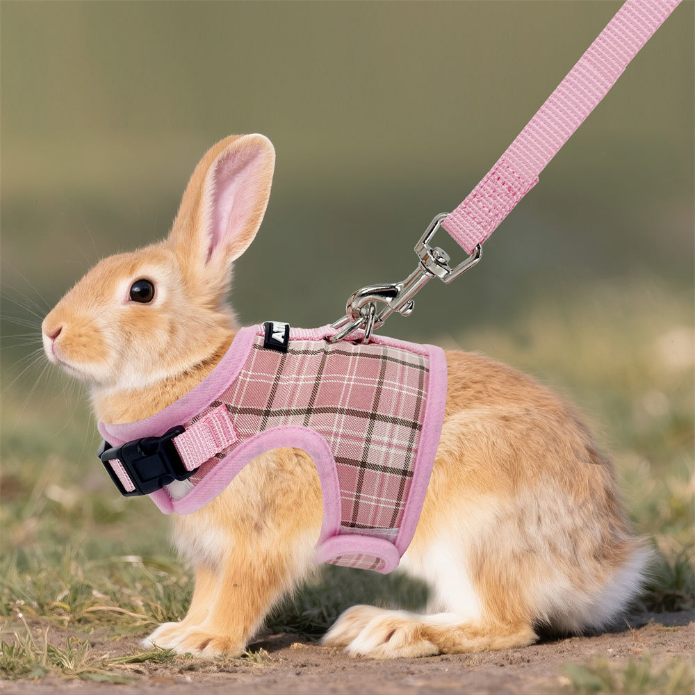 Aiitle Adjustable Padded Bunny Harness Leash Set Plaid Pattern