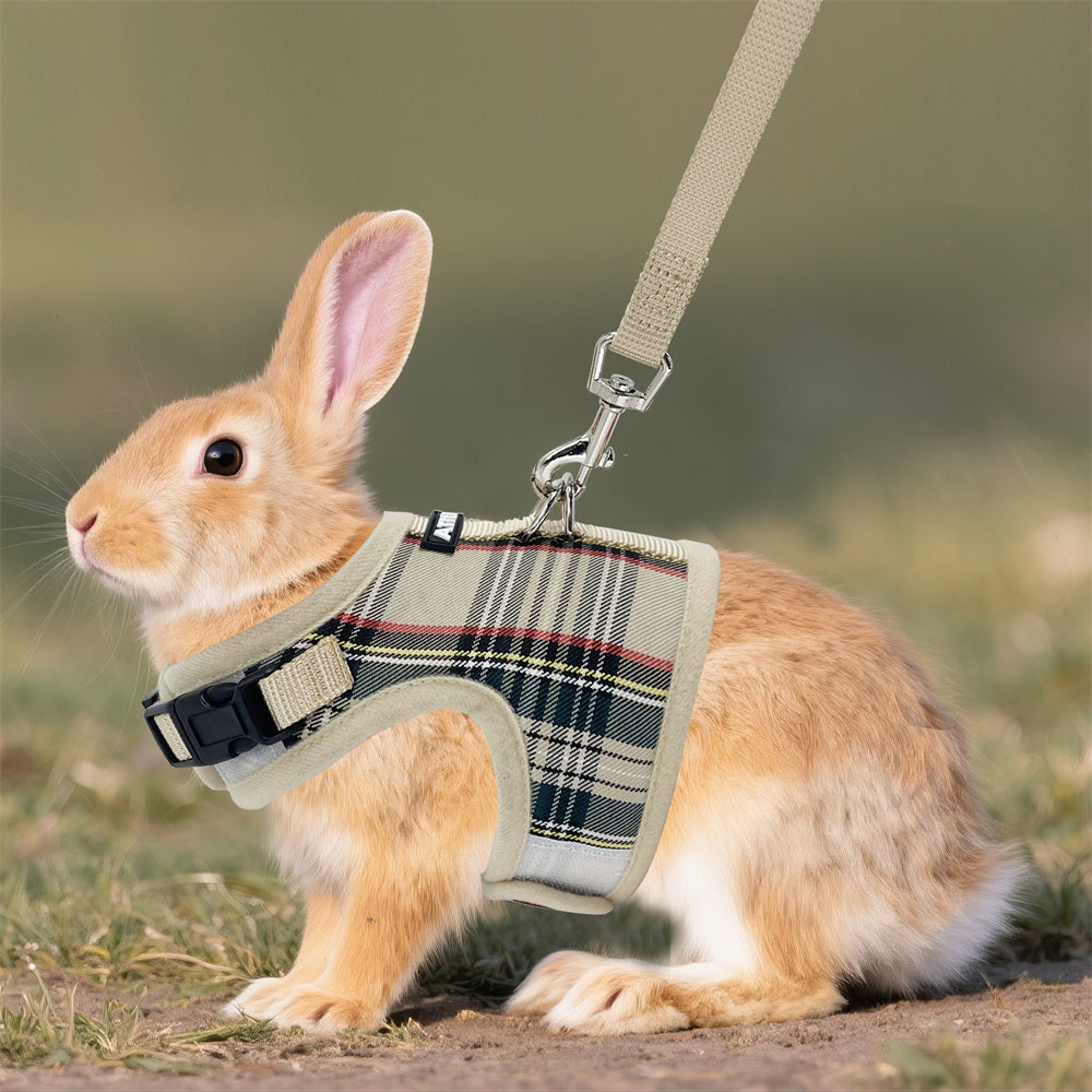 Aiitle Adjustable Padded Bunny Harness Leash Set Plaid Pattern