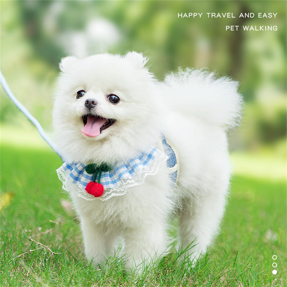 Aiitle Cute Cherry Lace Pet Harness Leash Set