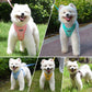 Aiitle Soft Adjustable Plaid Mesh Dog Vest Harness with Leash Set