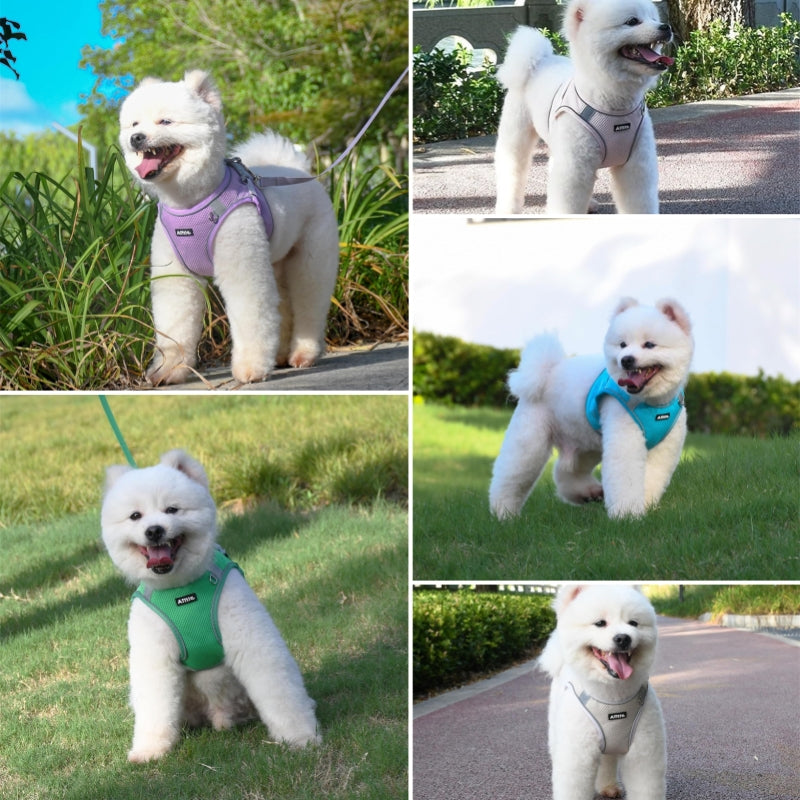 Aiitle Step in Mesh Small Dog Harness with Leash Set Green