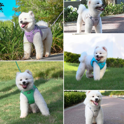 Aiitle Step in Mesh Small Dog Harness with Leash Set Purple