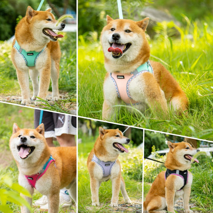 Aiitle Soft Adjustable Mesh Dog Harness Leash Set Green