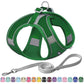 Aiitle Soft Adjustable Mesh Dog Harness Leash Set Green