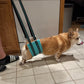 Aiitle Dog Hind Leg & Hip Support Harness