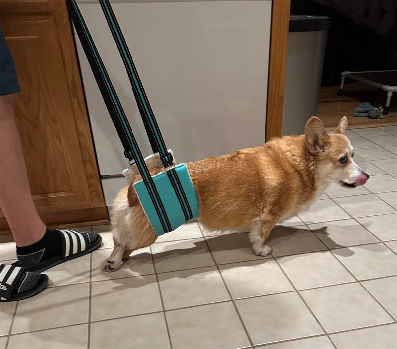 Aiitle Dog Hind Leg & Hip Support Harness