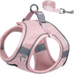 Aiitle Step in Mesh Small Dog Harness with Leash Set Green
