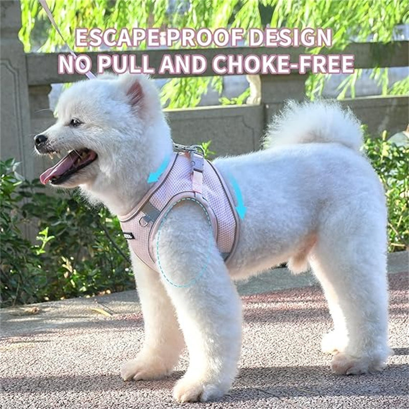 Aiitle Step in Mesh Small Dog Harness with Leash Set Pink