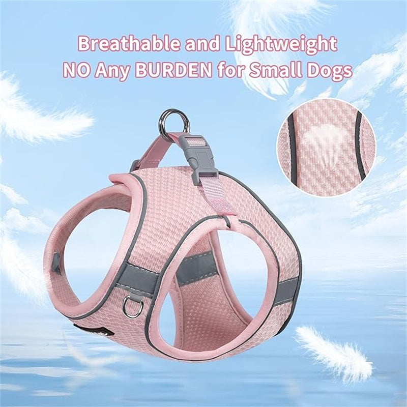 Aiitle Step in Mesh Small Dog Harness with Leash Set Pink