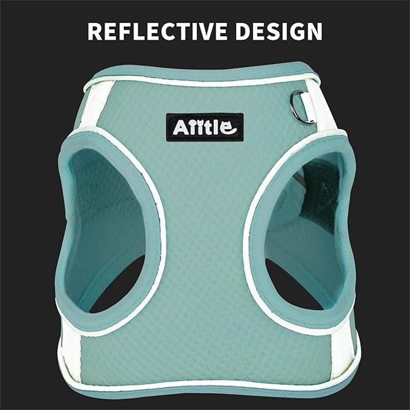 Aiitle Step in Mesh Small Dog Harness with Leash Set Green