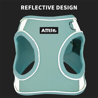 Aiitle Step in Mesh Small Dog Harness with Leash Set Purple