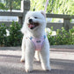 Aiitle Step in Mesh Small Dog Harness with Leash Set Pink