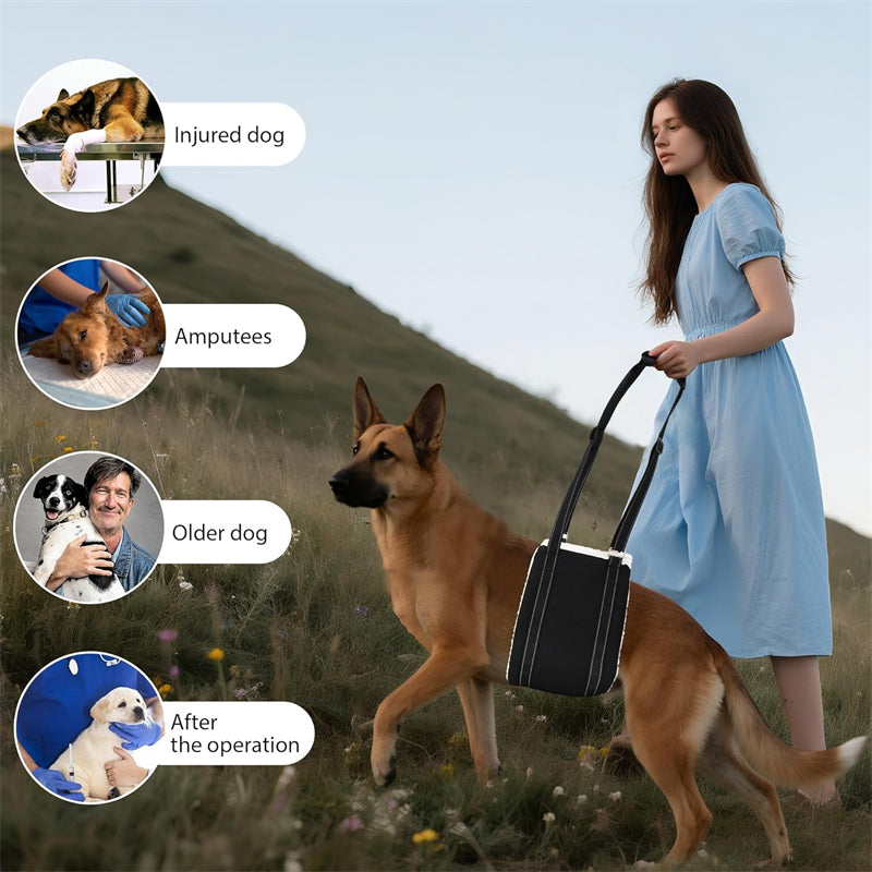 Aiitle Dog Hind Leg & Hip Support Harness