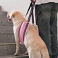 Aiitle Dog Hind Leg & Hip Support Harness