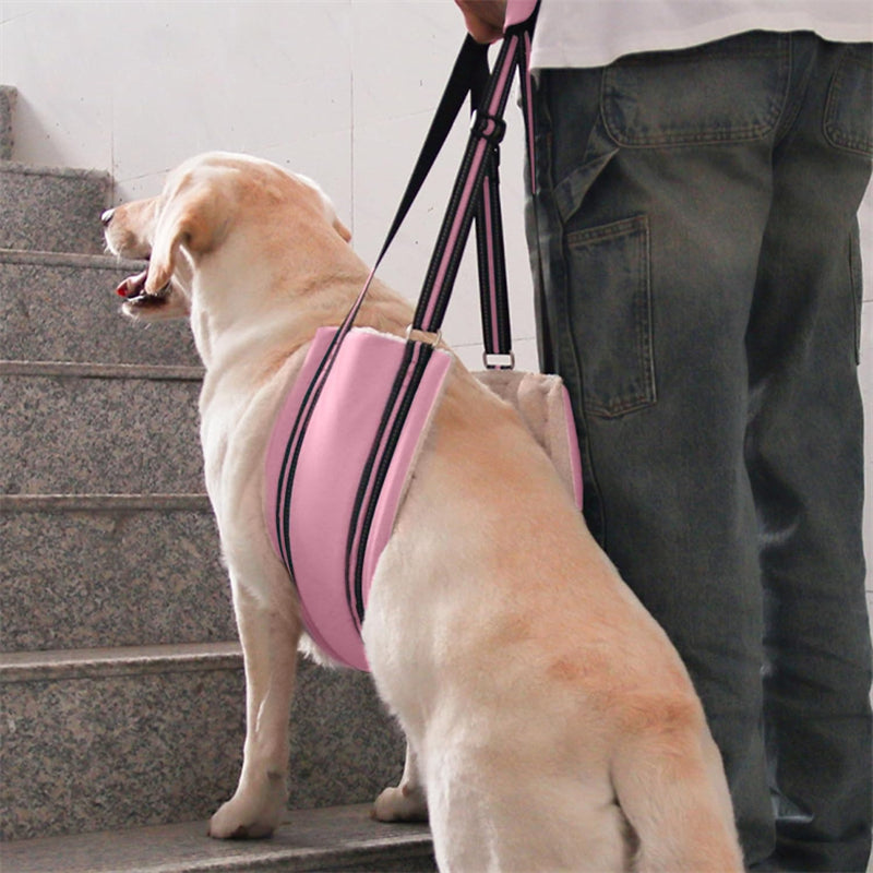 Aiitle Dog Hind Leg & Hip Support Harness