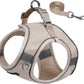 Aiitle Step in Mesh Small Dog Harness with Leash Set Green
