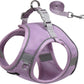Aiitle Step in Mesh Small Dog Harness with Leash Set Green