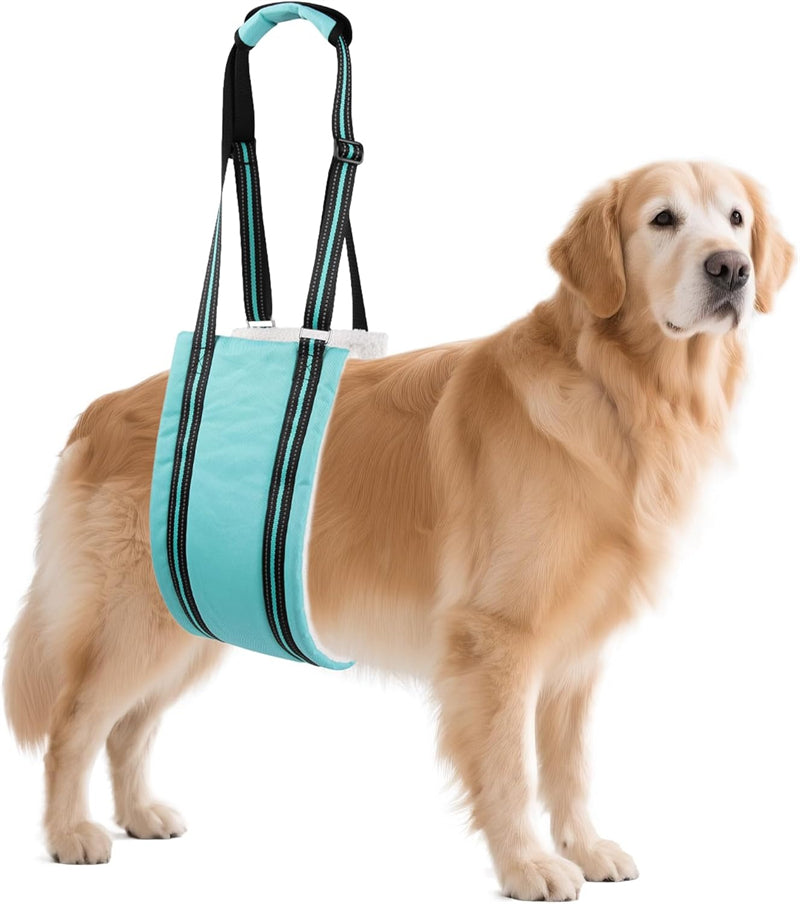 Aiitle Dog Hind Leg & Hip Support Harness