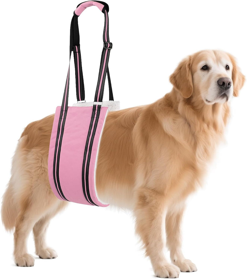 Aiitle Dog Hind Leg & Hip Support Harness