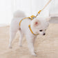 Aiitle Cute Adjustable Pet Harness Leash Set With Backpack