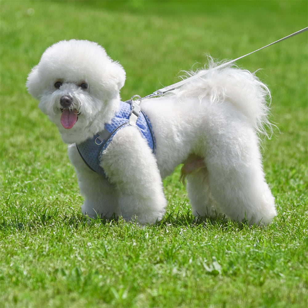 Aiitle Plaid Border Reflective Mesh Dog Harness Lavender