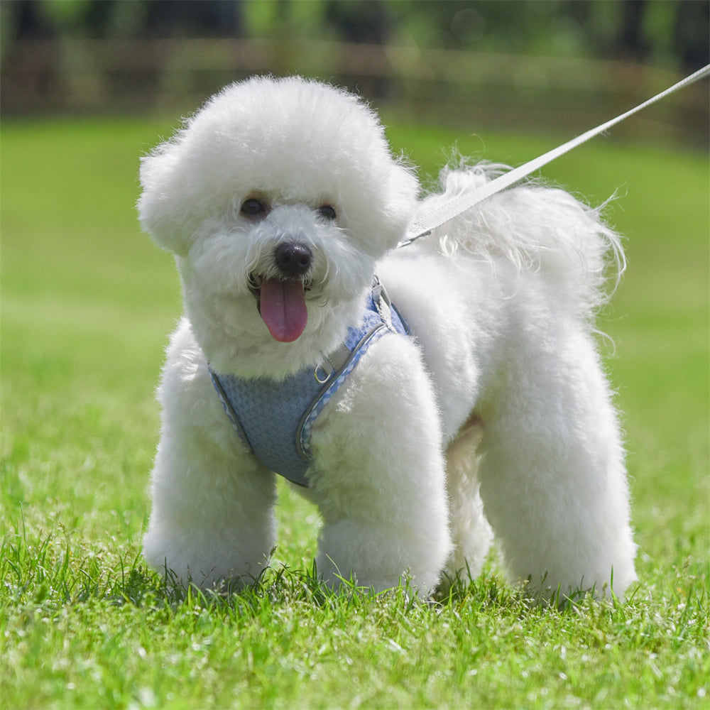 Aiitle Plaid Border Reflective Mesh Dog Harness Lavender