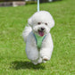 Aiitle Plaid Border Reflective Mesh Dog Harness Sage