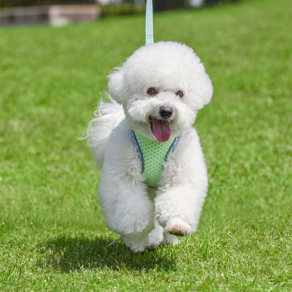 Aiitle Plaid Border Reflective Mesh Dog Harness Sage