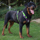 Aiitle No Pull Reflective Adjustable Dog Harness