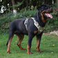 Aiitle No Pull Reflective Adjustable Dog Harness