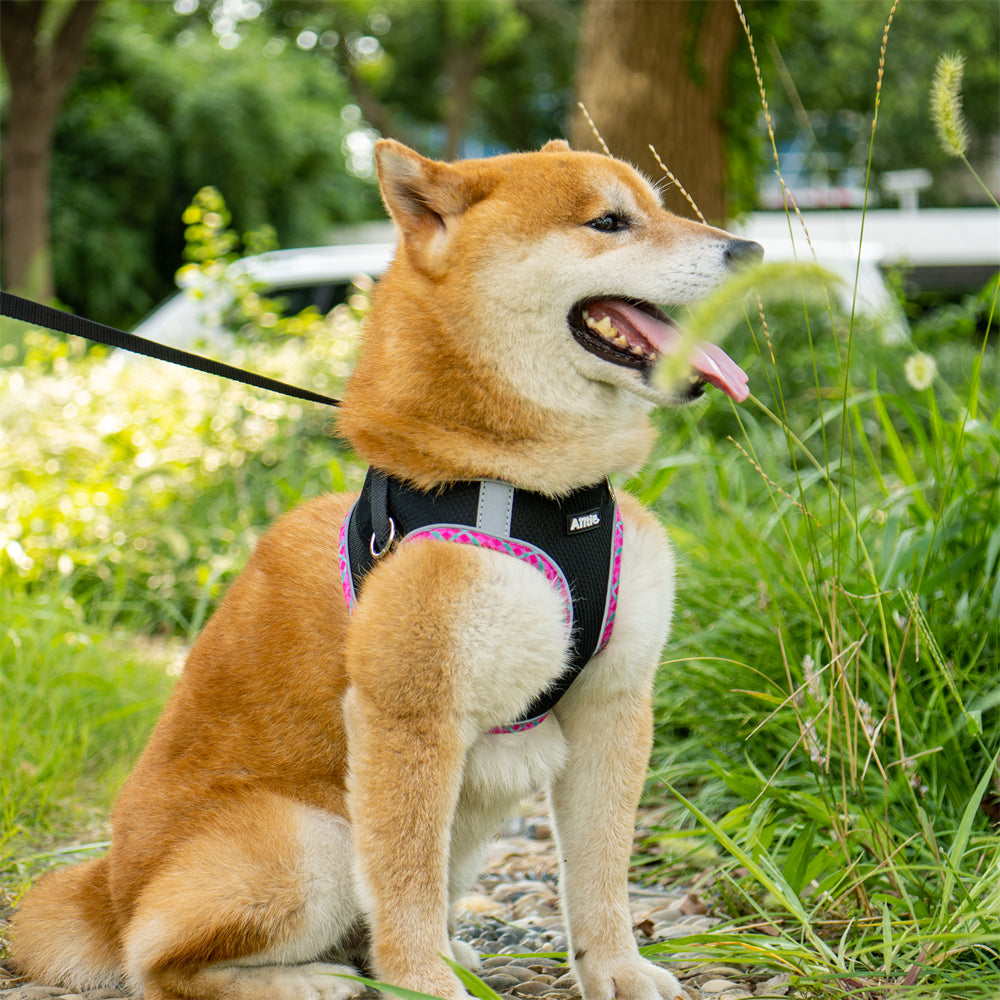 Aiitle Step in Breathable Air Mesh Dog Harness Black