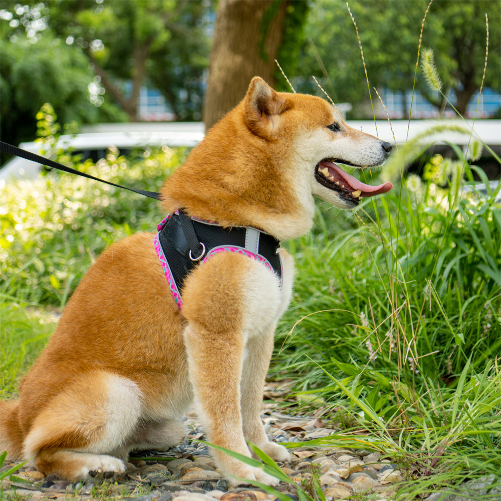 Aiitle Step in Breathable Air Mesh Dog Harness Black
