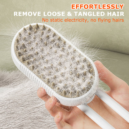 Aiitle 3 In 1 Electric Spray Massage Pet Comb