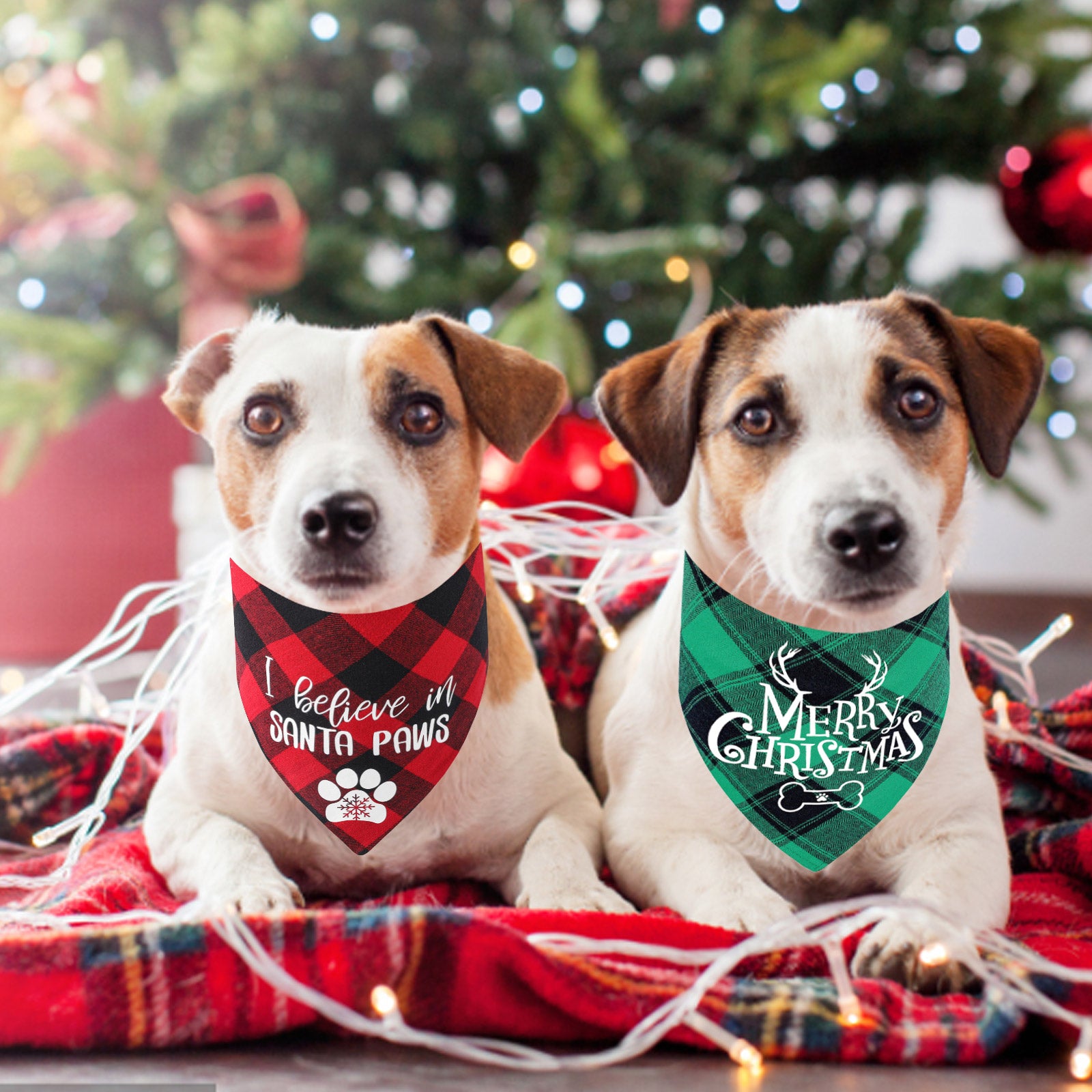 2 PACK CHRISTMAS DOG BANDANAS - CLASSIC TRIANGLE TEXT PATTERN PRINTING | AIITLE