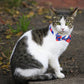 AIITLE American Flag Cat Collar for 4th of July Independence Day | AIITLE