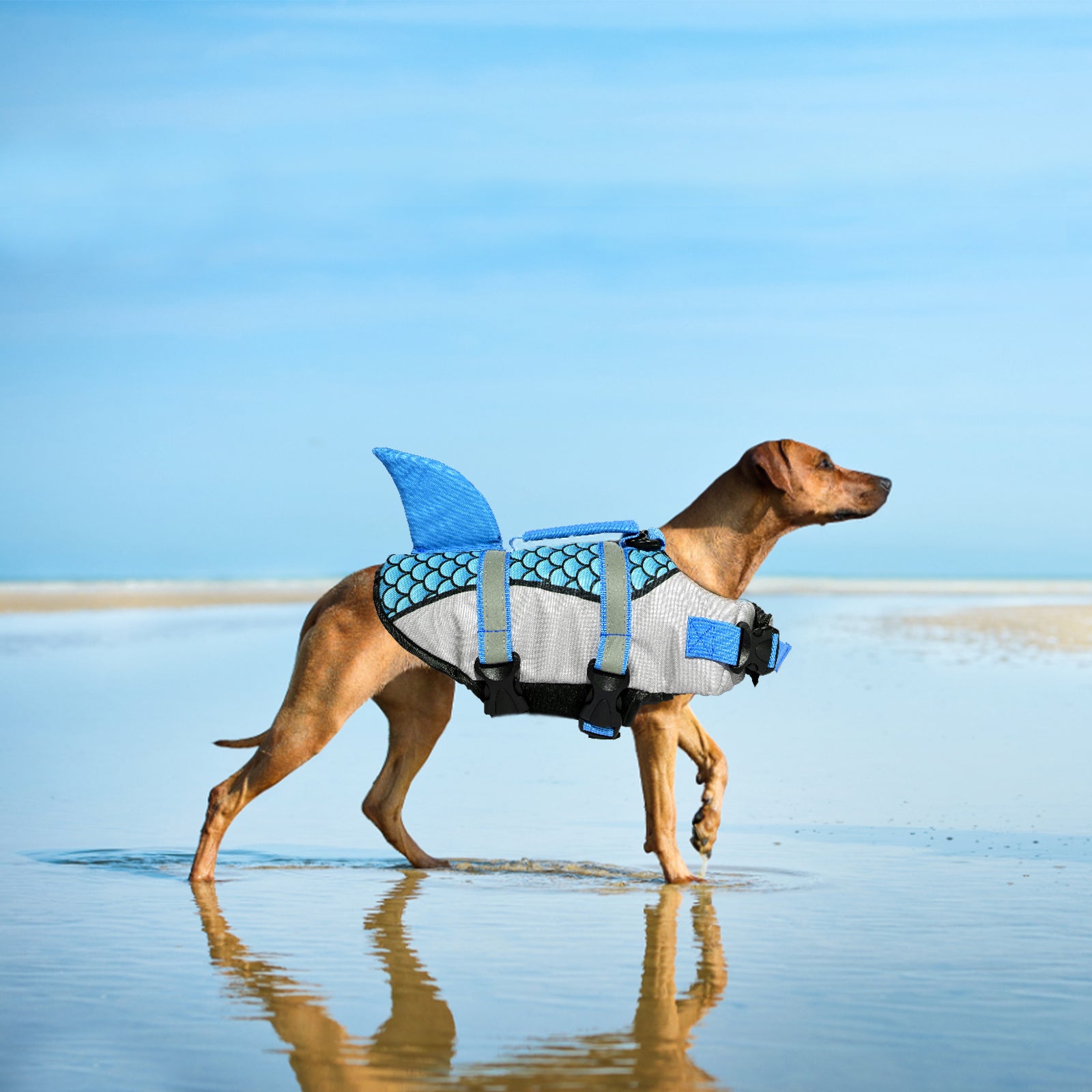 AIITLE Dog Life Vests, Adjustable Shark Dog Life Jacket with Rescue Handle | AIITLE