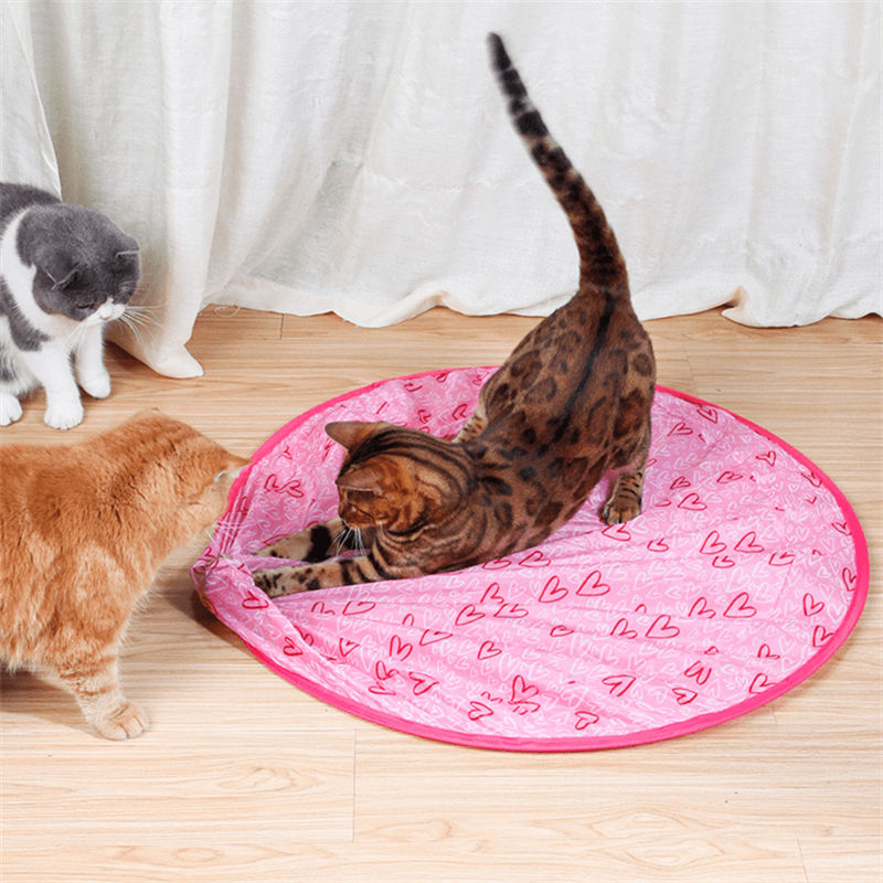 Aiitle Interactive Cat Hunting Toy