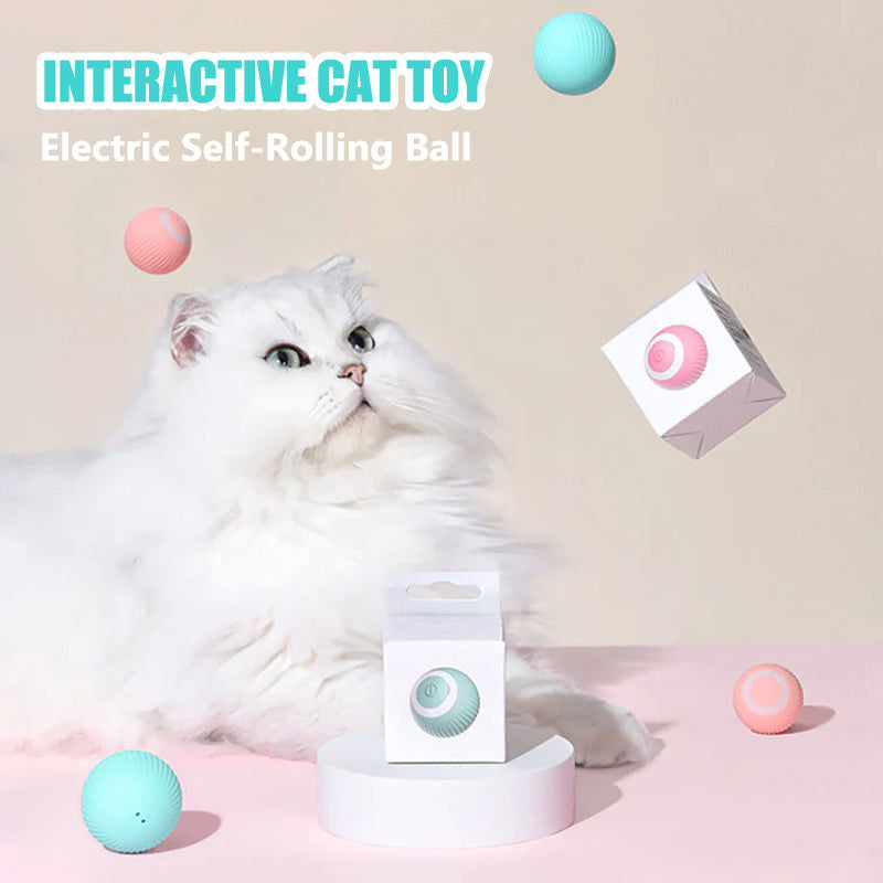 Aiitle Interactive Cat Hunting Toy