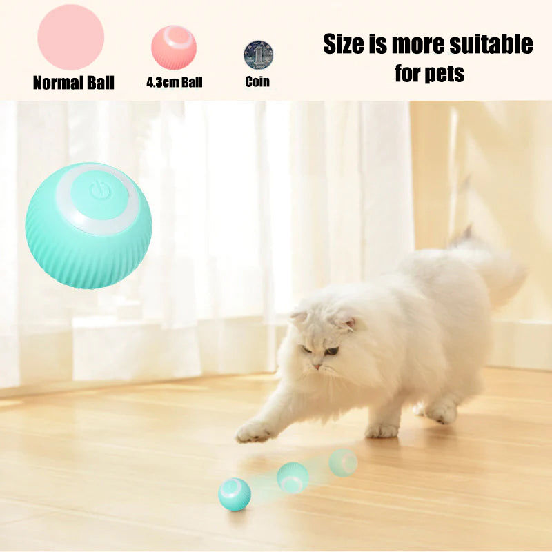 Aiitle Interactive Cat Hunting Toy