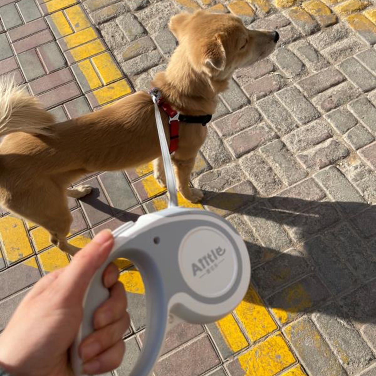 Real simple retractable dog leash sales