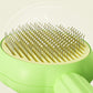 Aiitle Self Cleaning Pet Hair Remove Brush