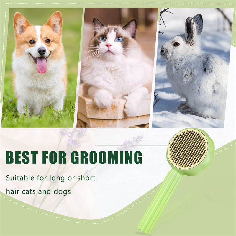 Aiitle Self Cleaning Pet Hair Remove Brush