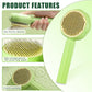 Aiitle Self Cleaning Pet Hair Remove Brush